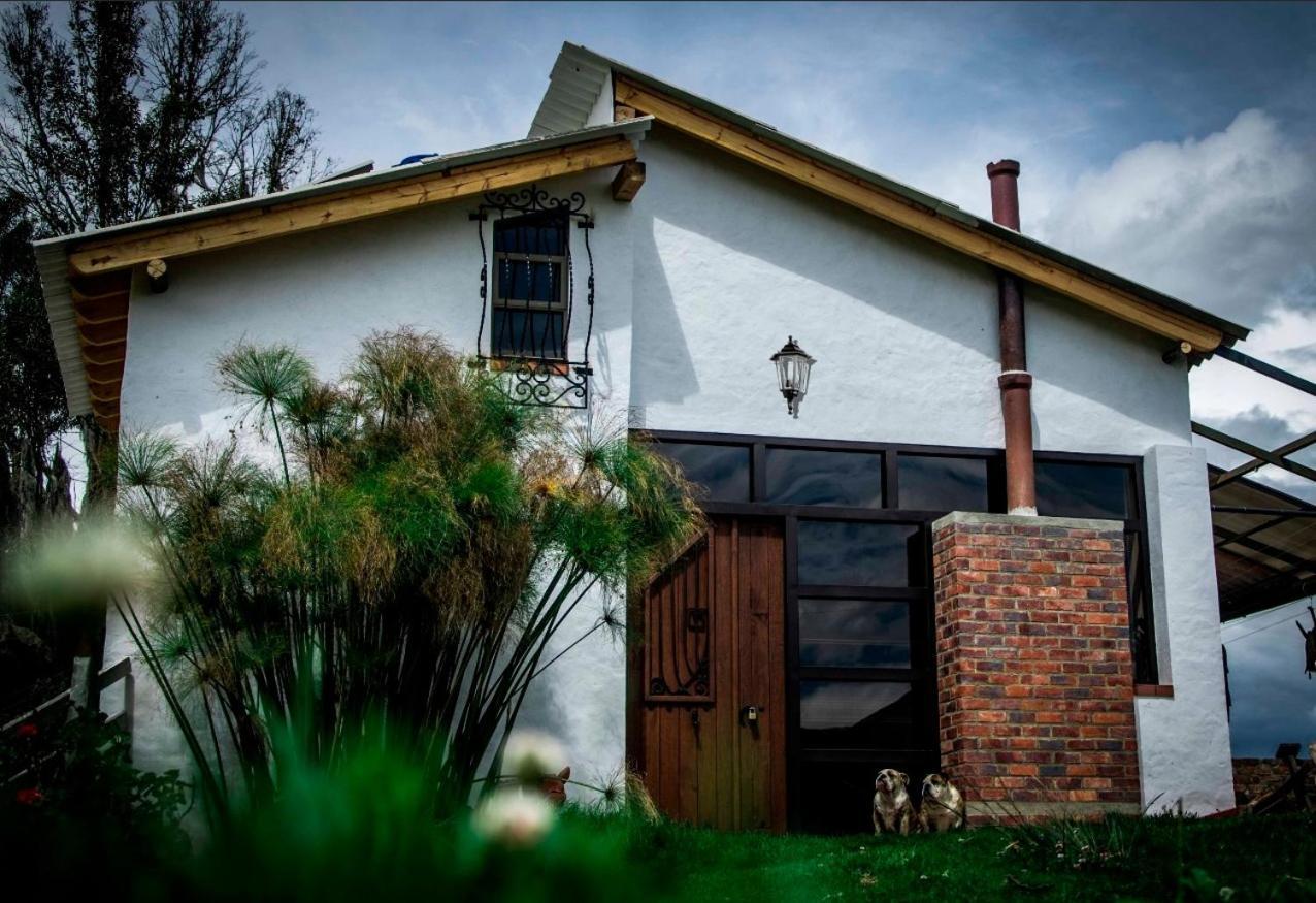Cabanas & Glamping De Ruana Por Boyaca 派帕 外观 照片